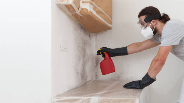 Professional Attic Mold Removal technician working in McLean, TX