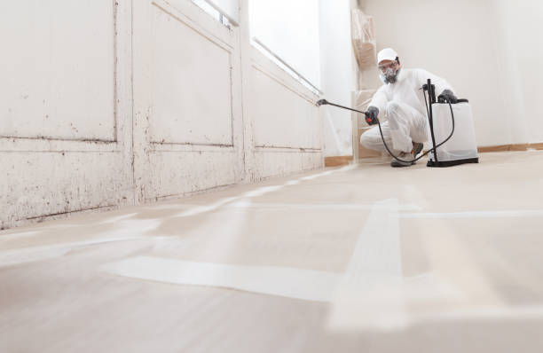 24/7 Emergency Attic Mold Removal experts in McLean, TX