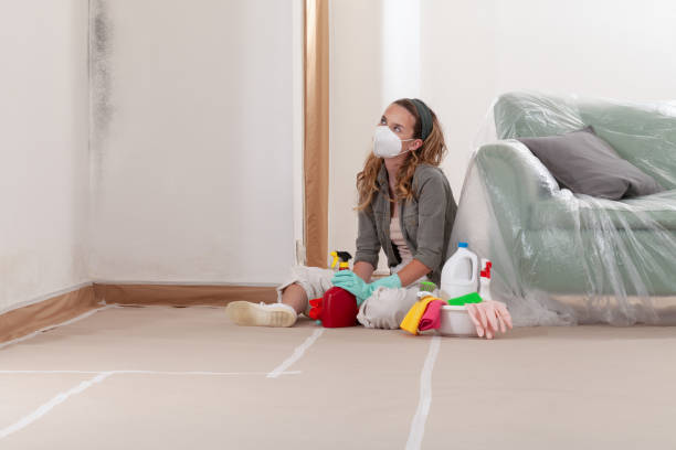 Reliable Attic Mold Removal contractor in McLean, TX by WQB Mold Removal